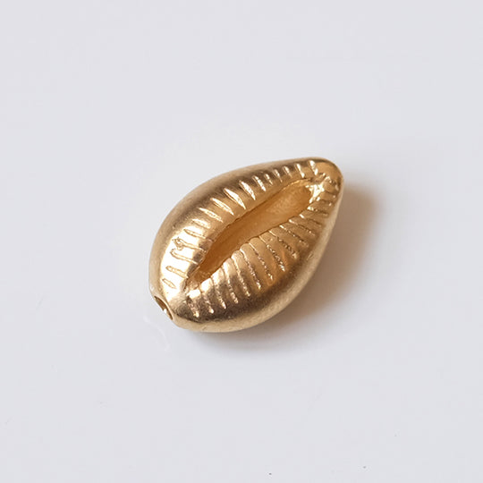 Kraal kauri schelp
